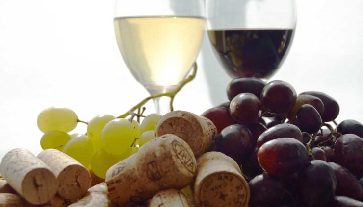 Que se necesita para que un vino sea vegano - certificado vinos veganos
