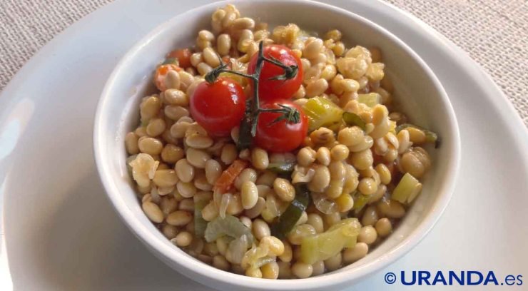 Recetas veganas de sojas - recetas veganas de legumbres