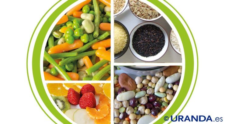Cómo planificar una alimentación vegana saludable: el plato saludable vegano - alimentación vegetariana y vegana