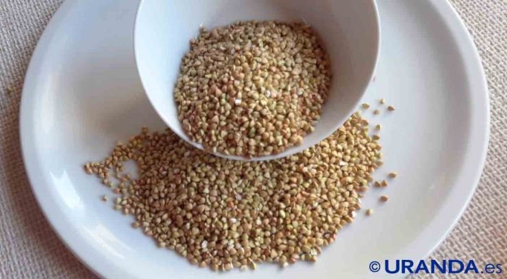 Alforfon o trigosarraceno: valor nutritivo y usos en cocina