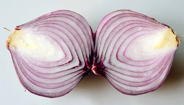 Los cuatro bulbos comestibles esenciales: propiedades y usos culinarios - cebollas