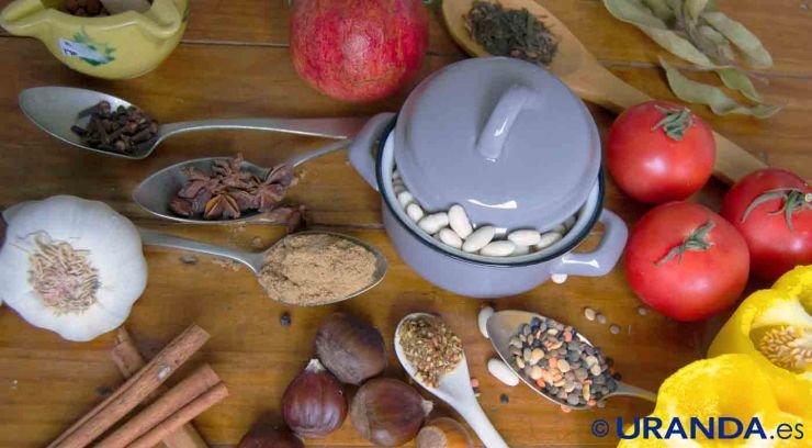 Qué le pasa a tu cuerpo cuando te haces vegetariano o vegano - alimentacion vegetariana y vegana