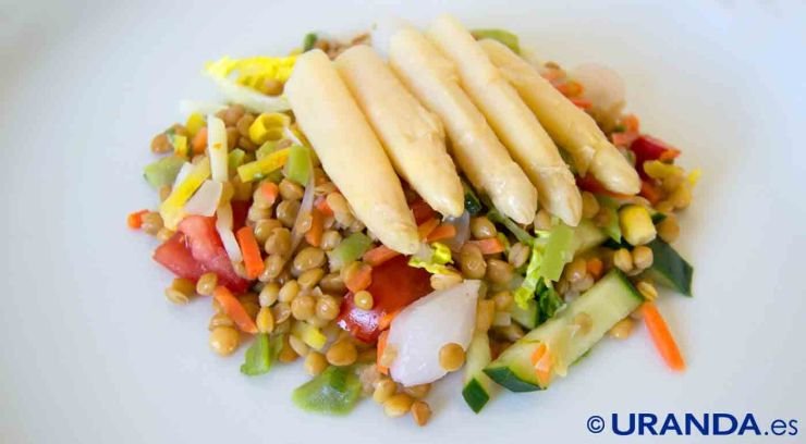 Recetas veganas de ensaladas de legumbres