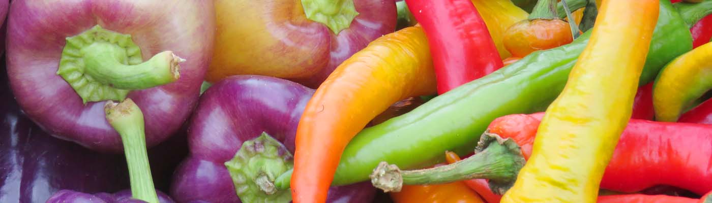 Calendario de frutas y verduras de temporada por meses: Julio